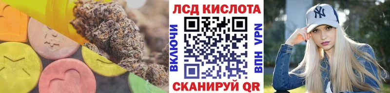 где купить наркоту  Багратионовск  Лсд 25 экстази кислота 
