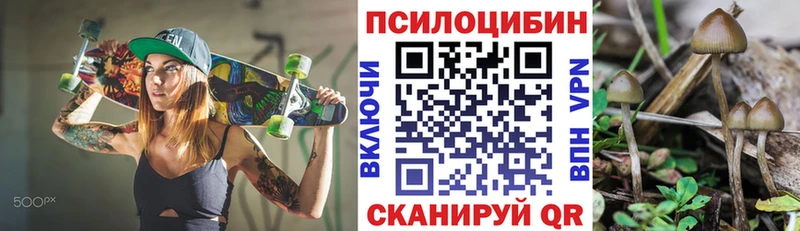 Галлюциногенные грибы Psilocybine cubensis кракен ССЫЛКА маркетплейс как зайти Багратионовск